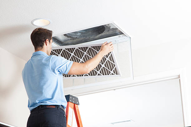 Best Air Filters and Purifiers in Rehoboth Beach, DE